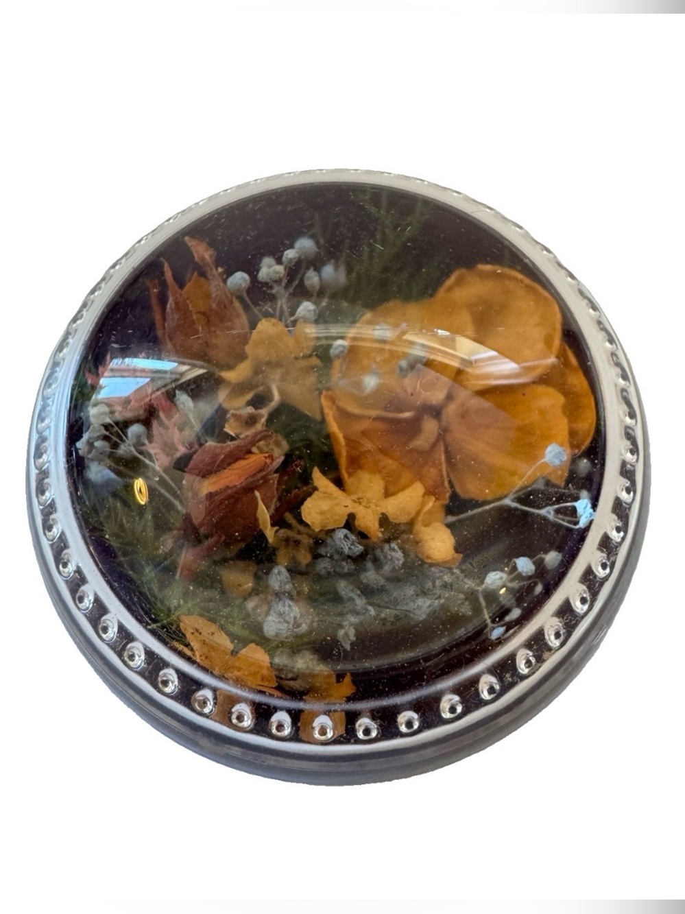 VTG 1993 Alaska Forgot Me Nots Art Paperweight Resin Flower Signed Conna
Beaut